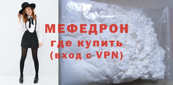 индика Снежногорск