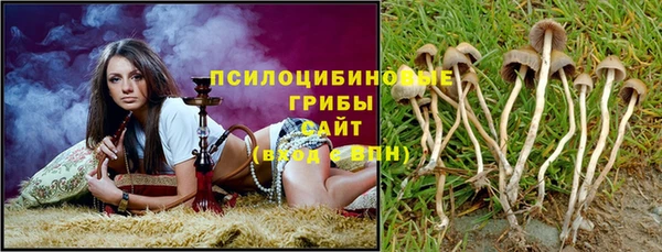стаф Семёнов