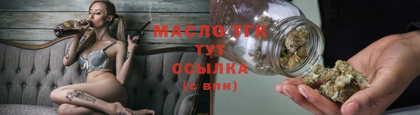 индика Снежногорск