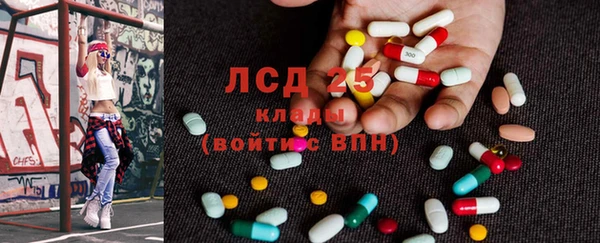 индика Снежногорск
