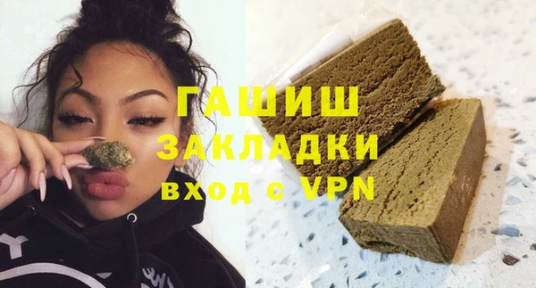 индика Снежногорск