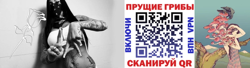 Галлюциногенные грибы Psilocybe  МЕГА сайт  Белоозёрский 